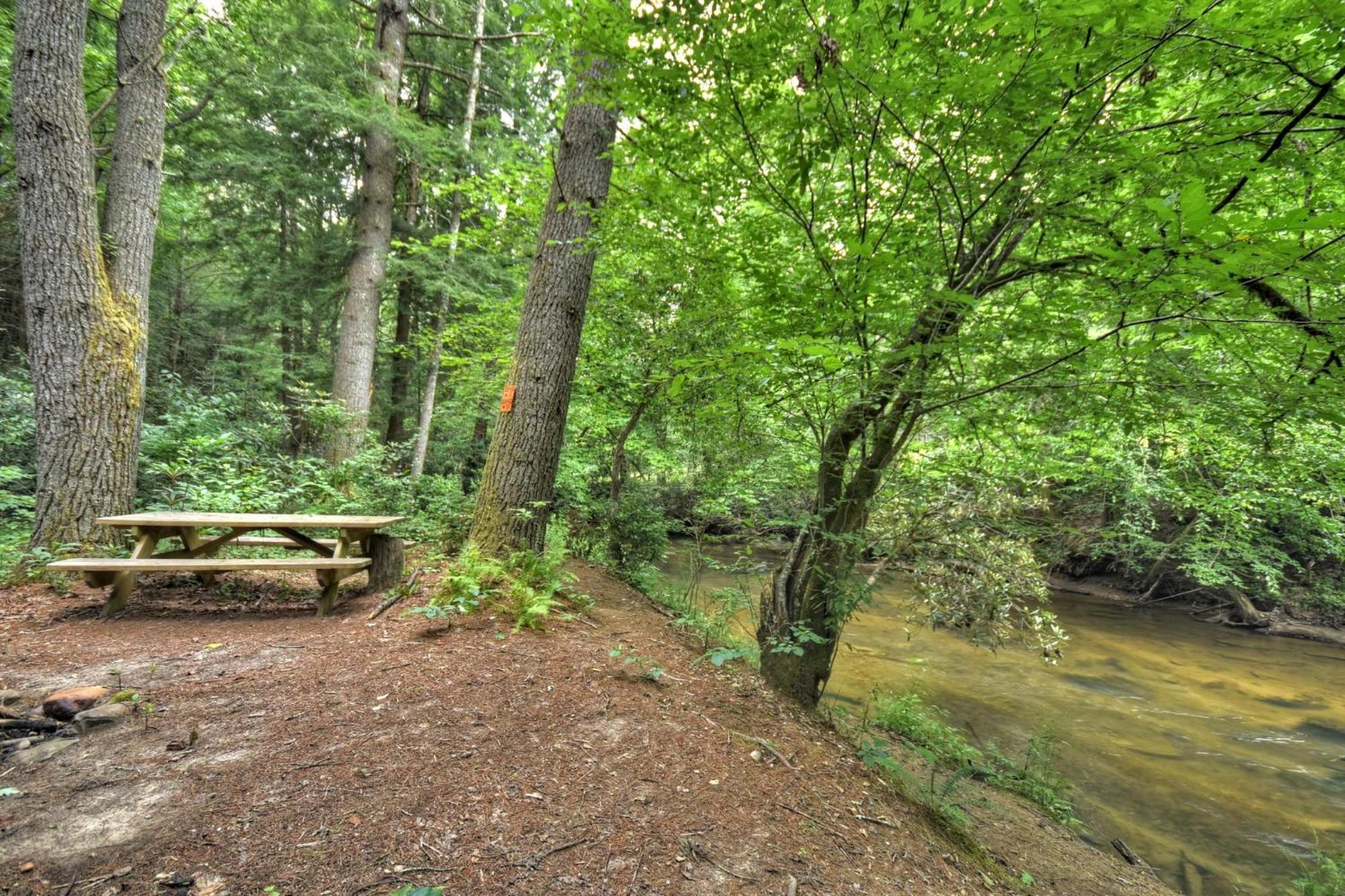 K6 Lodge Gather Around The Firepit Soak In The Hot Tub And Splash In The Creek Blue Ridge Exterior photo